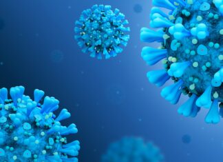 Long Covid, studio internazionale rivela un locus di rischio