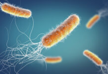 Infezioni ospedaliere, Aifa approva la combinazione di cefepime ed enmetazobactam