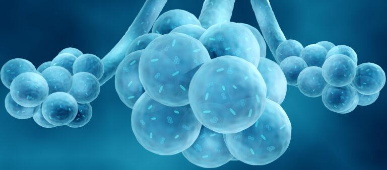 Correlazione tra antibiotico resistenza e temperatura ambientale