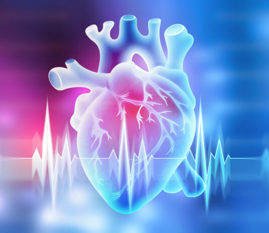 La Rete Cardiologica Irccs rafforza la ricerca: due nuovi Comitati per programmare i progetti