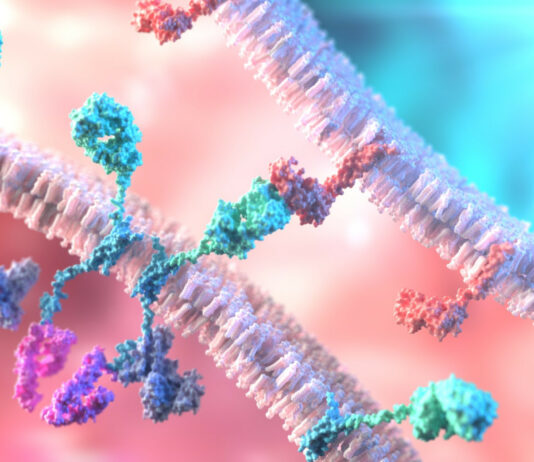 CAR-T, il ruolo fondamentale del farmacista ospedaliero