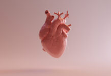 Studio Vesalius-CV ridefinisce l’approccio alla malattia cardiovascolare