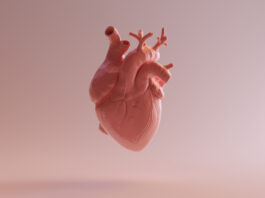Studio Vesalius-CV ridefinisce l’approccio alla malattia cardiovascolare