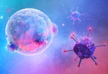 Governance e rete per le CAR-T