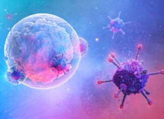 Governance e rete per le CAR-T