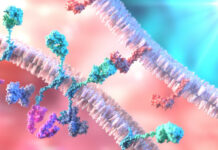 CAR-T e IA: il presente che cura, il futuro che prevede