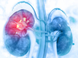 Malattia renale cronica, nasce il progetto Premio per la diagnosi precoce