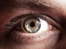 Maculopatie: confermata l’efficacia di aflibercept 8 mg a un anno dalla rimborsabilità