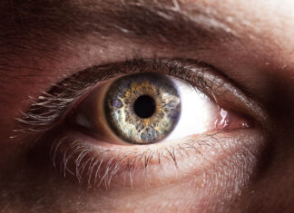 Maculopatie: confermata l’efficacia di aflibercept 8 mg a un anno dalla rimborsabilità