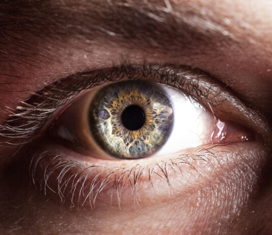 Maculopatie: confermata l’efficacia di aflibercept 8 mg a un anno dalla rimborsabilità