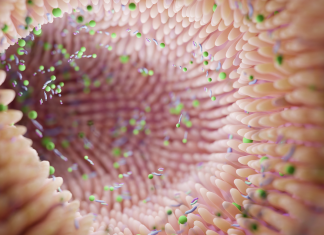 Microbiota e allergie, nuove evidenze scientifiche su prevenzione e rischio