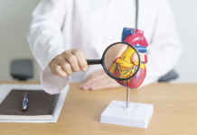 Vitamina D fattore di rischio cardiovascolare modificabile