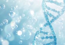 Ulcere degli arti inferiori trattati con medicina rigenerativa all’Irccs Neuromed