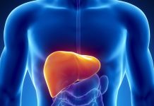 Steatosi epatica non alcolica, allo studio molecola microbiotica