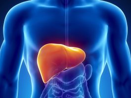 Colangite biliare primitiva: l’evoluzione della terapia mirata tra meccanismi molecolari e governance clinica