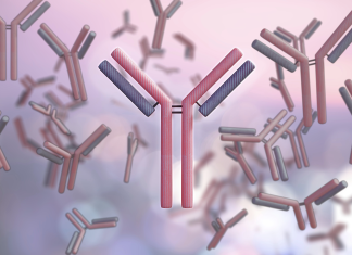 Immunoglobuline, nuova sfida per l’Italia