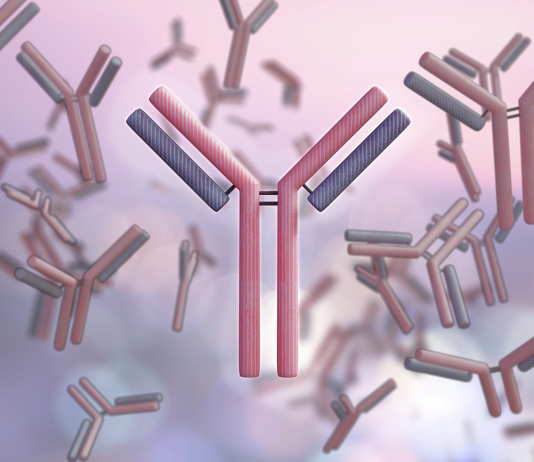 Immunoglobuline, nuova sfida per l’Italia