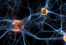 Innovazione, sostenibilità e territorio: la sfida della gestione delle malattie neurologiche rare