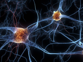 Innovazione, sostenibilità e territorio: la sfida della gestione delle malattie neurologiche rare