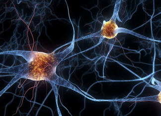 Innovazione, sostenibilità e territorio: la sfida della gestione delle malattie neurologiche rare