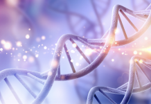 Verso terapie geniche al letto del paziente: il progetto NANOSPRESSO