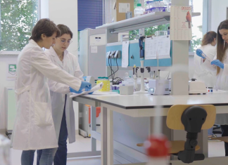 Parkinson: i carotenoidi sono biomarcatori dell’efficacia terapeutica