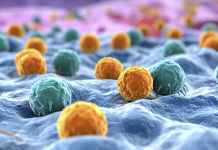 Premio Nobel per la medicina e la fisiologia: passi avanti per l’immunologia