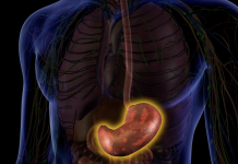 Tumore dello stomaco: nuove prospettive dall’immunoterapia