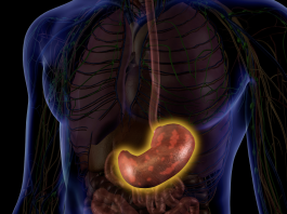 Immunoterapia nei tumori gastrici