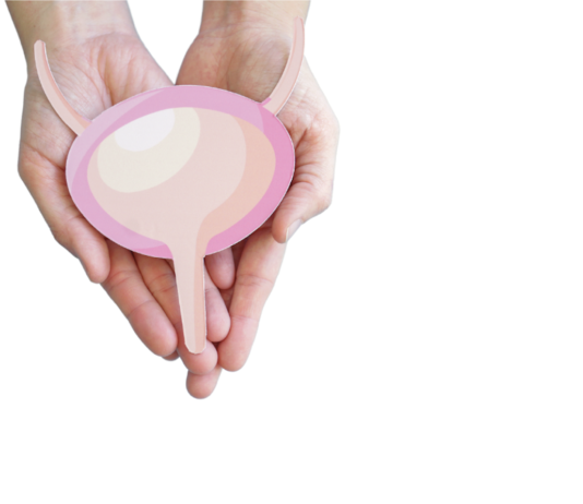 Enfortumab vedotin + pembrolizumab rimborsabili nel carcinoma uroteliale avanzato Carcinoma uroteliale avanzato, enfortumab vedotin in associazione a pembrolizumab rimborsabili