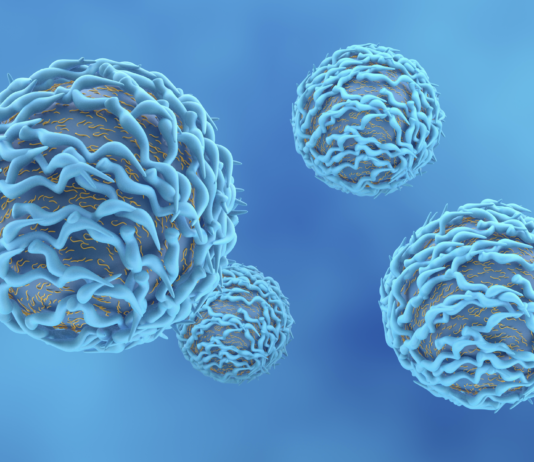 Pfas e sistema immunitario dei bambini, ruolo dei linfociti B Linfociti b sistema immunitario bambini risposta a inquinanti ambientali Pfas