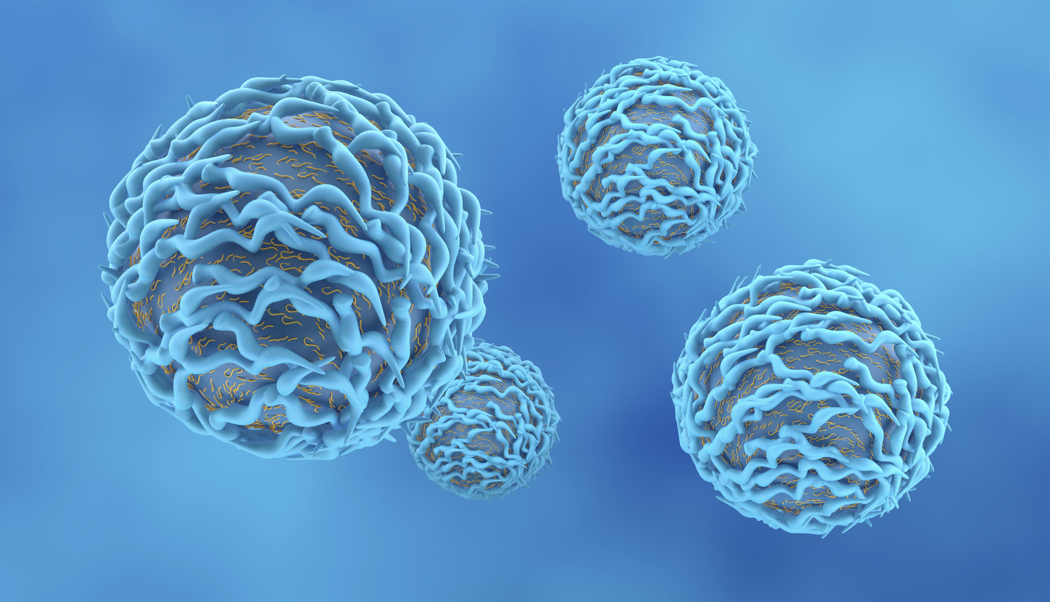 Pfas e sistema immunitario dei bambini, ruolo dei linfociti B