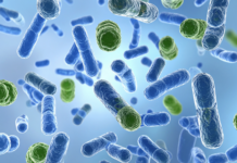 Biofilm e disinfezione, oltre i test planctonici biofilm e batteri