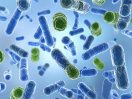 Biofilm e disinfezione, oltre i test planctonici biofilm e batteri