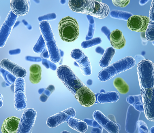 Aromatogramma, dal Gemelli il primo protocollo standardizzato per testare gli oli essenziali contro i batteri biofilm e batteri