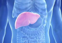 Colangite biliare primitiva: nuovi criteri condivisi per trial, biomarcatori ed endpoint clinici Illustrazione anatomica del fegato umano