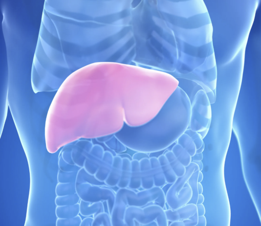 Colangite biliare primitiva: nuovi criteri condivisi per trial, biomarcatori ed endpoint clinici Illustrazione anatomica del fegato umano