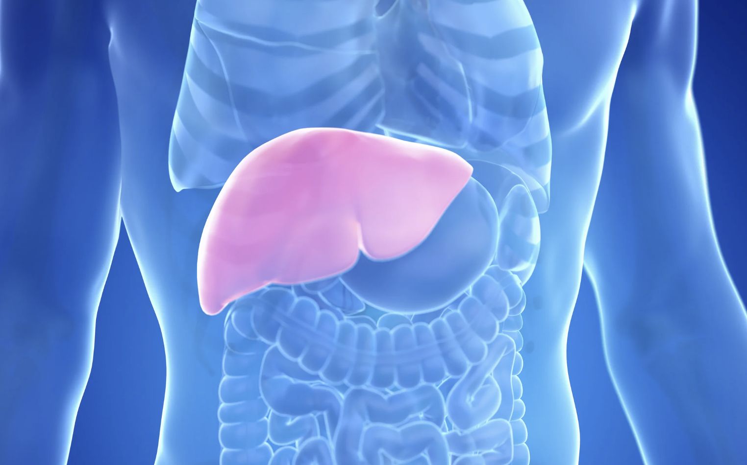 PBC: nuovi criteri condivisi per trial, biomarcatori ed endpoint clinici