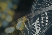 Il meccanismo che scatena la Savi nei bambini SAVI bambini