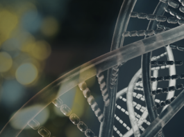 Il meccanismo che scatena la Savi nei bambini SAVI bambini