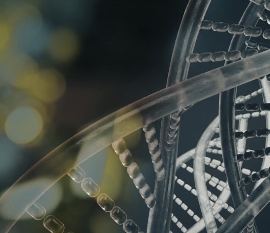 Il meccanismo che scatena la Savi nei bambini SAVI bambini