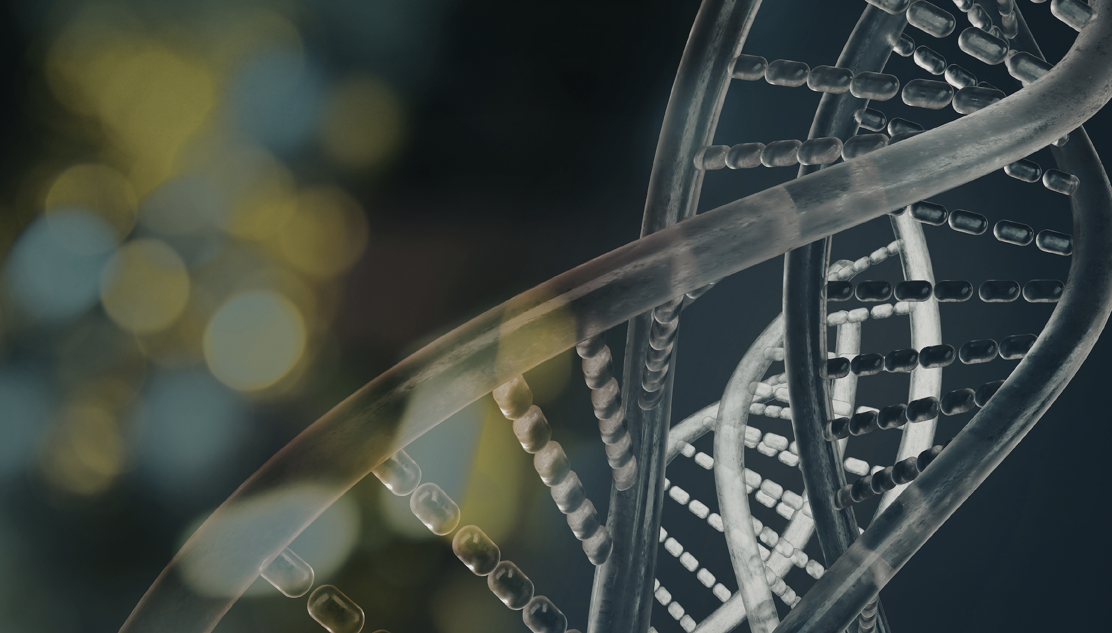 Il meccanismo che scatena la Savi nei bambini