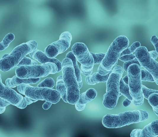 Argipressina e shock settico, le buone pratiche Siaarti Argipressina nello shock settico in Terapia Intensiva