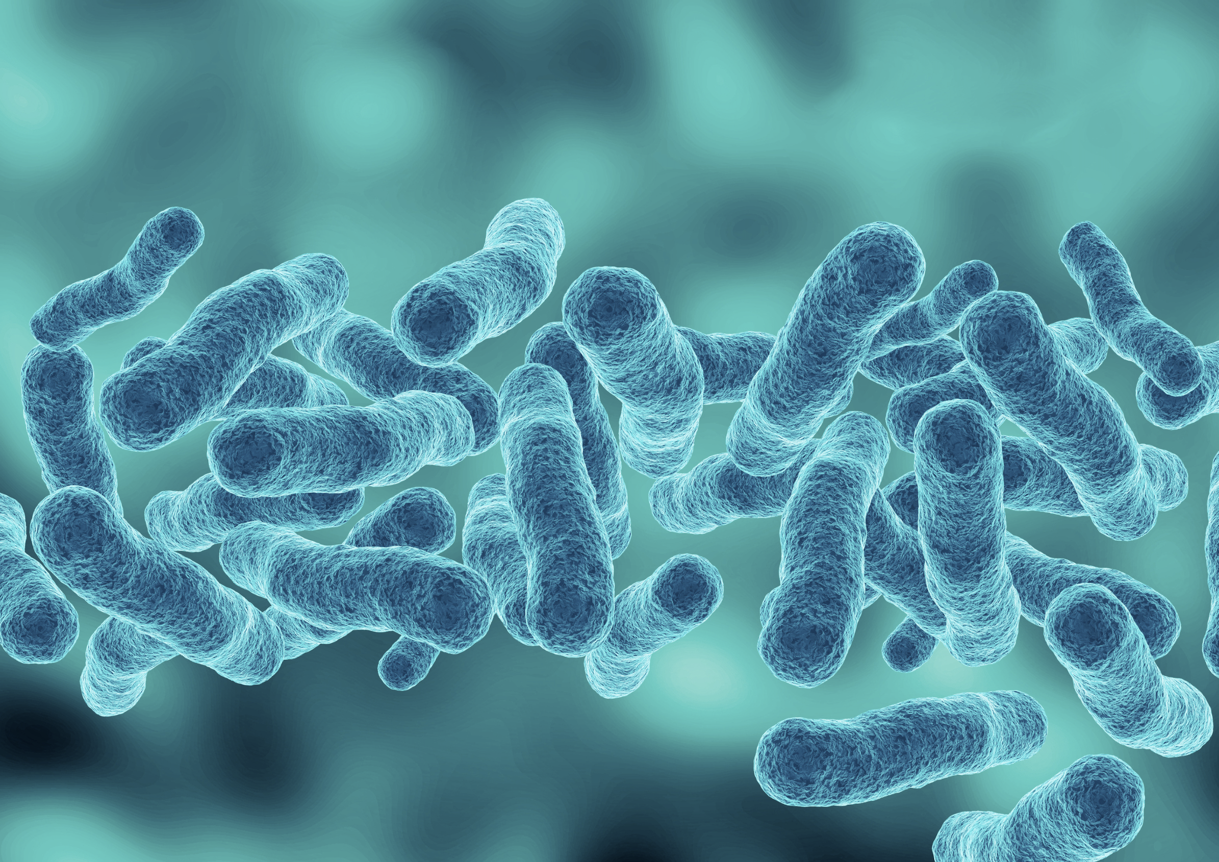 Argipressina e shock settico, le buone pratiche Siaarti
