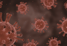 Terapia con anticorpi efficace contro long Covid long Covid terapia mmunomodulante Spallanzani e Bambino Gesù