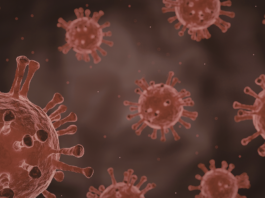 Terapia con anticorpi efficace contro long Covid long Covid terapia mmunomodulante Spallanzani e Bambino Gesù