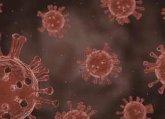 Terapia con anticorpi efficace contro long Covid long Covid terapia mmunomodulante Spallanzani e Bambino Gesù