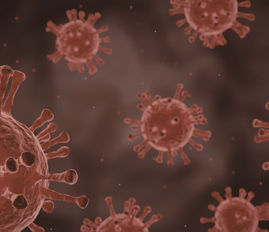 Terapia con anticorpi efficace contro long Covid long Covid terapia mmunomodulante Spallanzani e Bambino Gesù