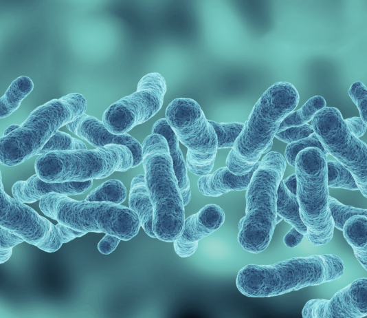 Sepsi, edizione 2026 delle linee guida internazionali aggiornamento linee guida sepsi