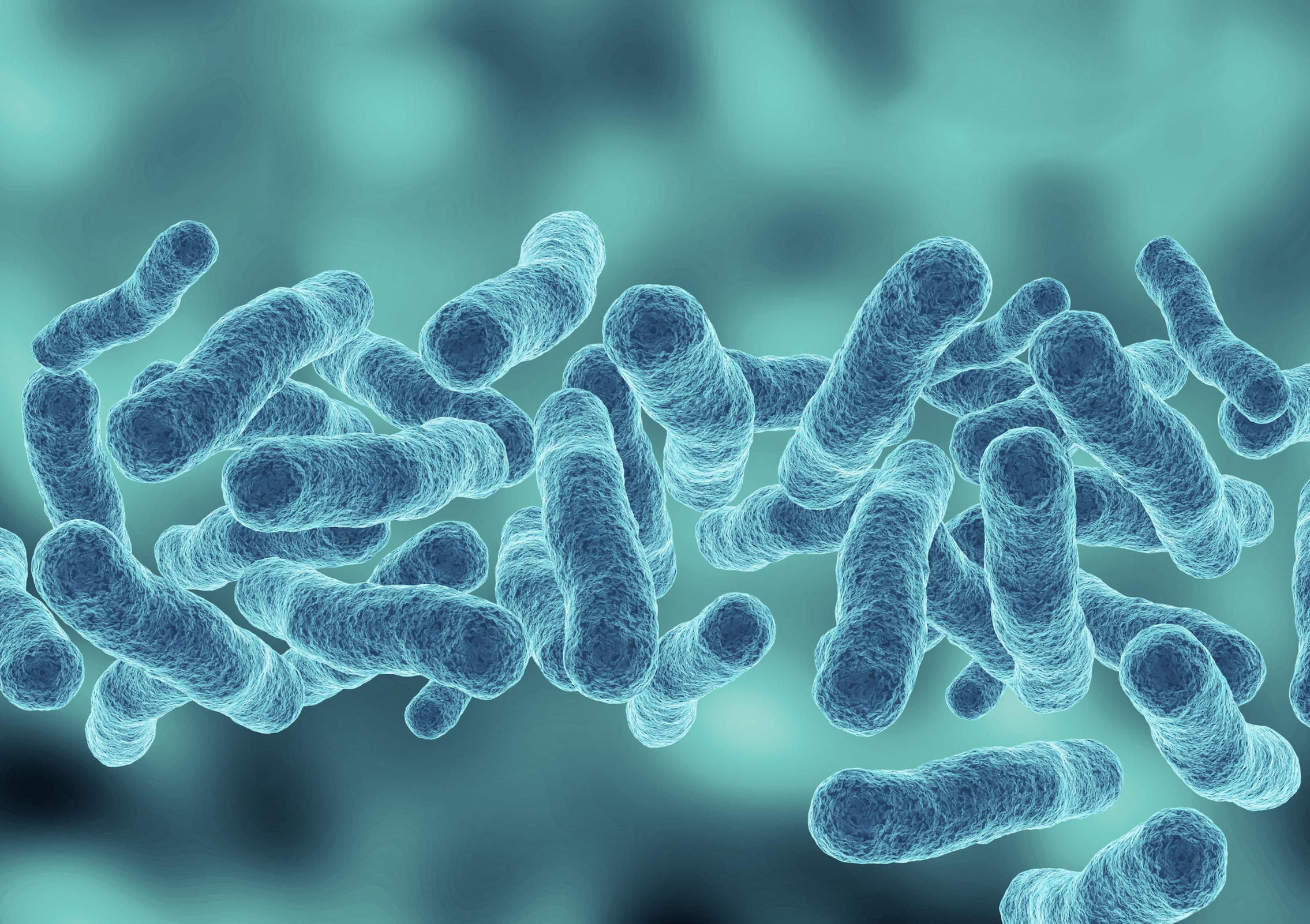 Sepsi, edizione 2026 delle linee guida internazionali